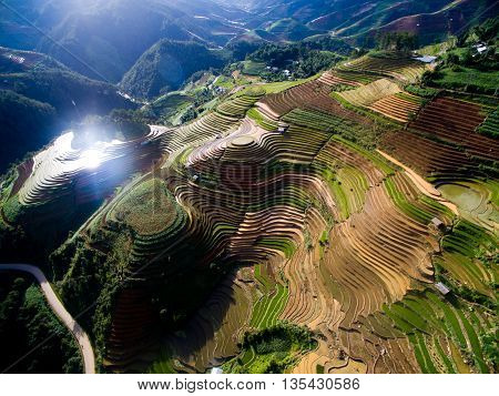 Terraced rice field in water season from above in Mu Cang Chai, Vietnam.