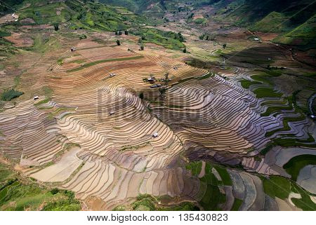 Terraced rice field in water season from above in Mu Cang Chai, Vietnam.