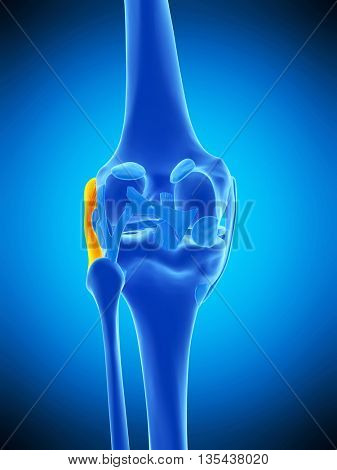 3d rendered, medically accurate illustration of the fibular collateral ligament