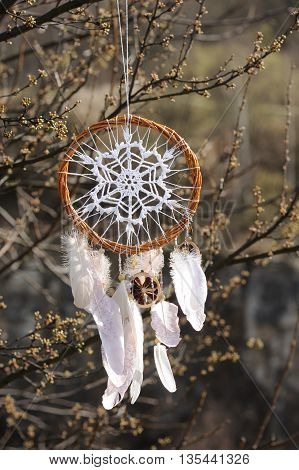 Handmade native american dream catcher on background of spring branch. Tribal elements feathers lace crochet snowflake doily