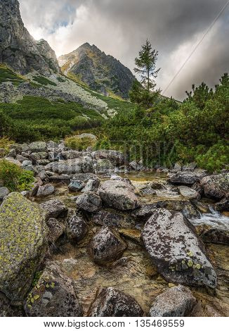 Mountain Landscape with a Creek and Rocks in Foreground on Cloudy Day. Mlynicka Valley High Tatra Slovakia.