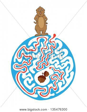 Maze puzzle for kids with Marmot and Nut. Labyrinth illustration, solution included.