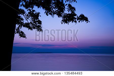 Silhouette of a tree against a purple sky during blue hour with a view of the lake at the cottage
