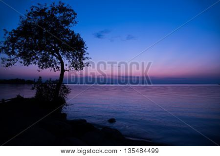 Silhouette of a tree against a purple sky during blue hour with a view of the lake at the cottage