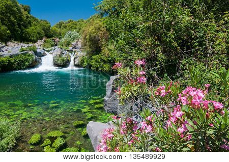 Alcantara River Reserve