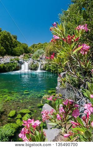 Alcantara River Reserve