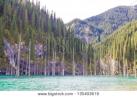 Kaindy Lake in Tien Shan mountain system Kazakhstan