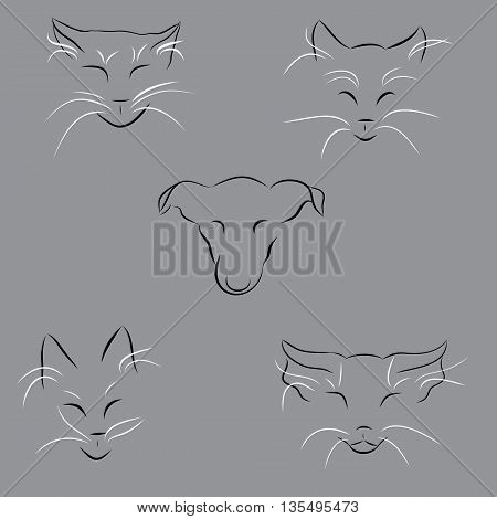 Simple lines cats and dog. Hand drawn