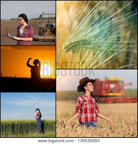 Collage Of Farming In Wheat Field