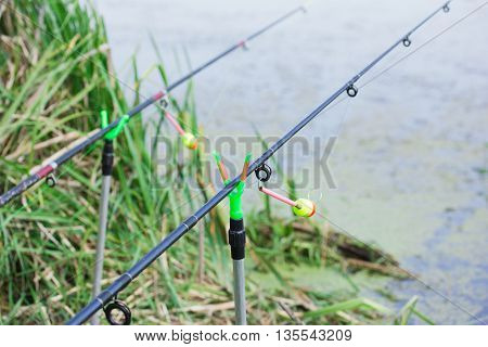 The tip of the rod with the bell.