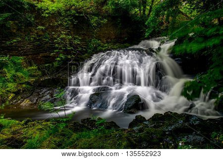 A gently cascading waterfall surrounded by verdant greens.