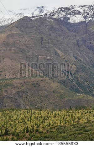 San Alfonso Valley, Trail In The  Mountain