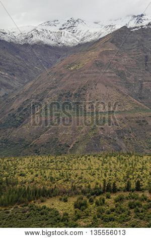 San Alfonso Valley, Trail In The  Mountain