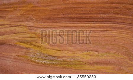 Pattern Formation of Sandstone in Little Wild Horse Canyon Trail in Utah