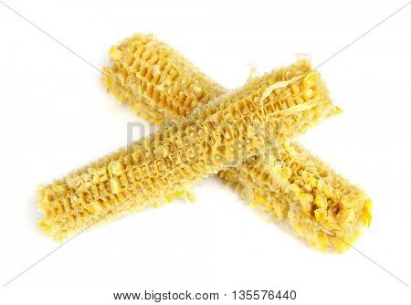 Fully eaten corn cob isolated