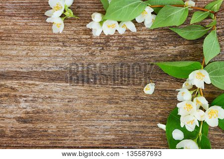 Jasmine fresh flowers and leaves on rusic wooden table