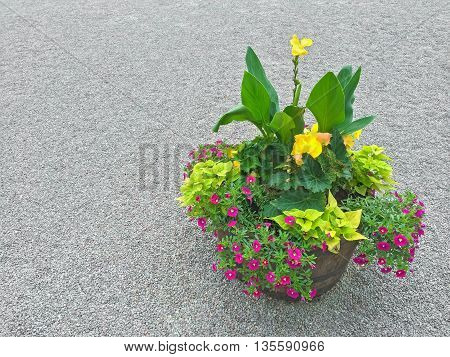 Floral arrangement with colorful plants and blooming flowers. Outdoor decoration.
