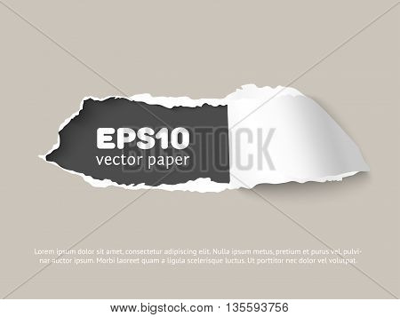 Craft vector paper hole with space for text, ripped edges, dark copyspace. Torn paper for scrapbooking. Torn paper template for sale promo and advertising.
