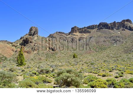 Boca Tauce in Mount Teide National Park
