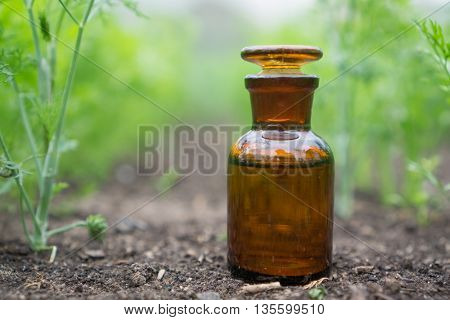 Liquid in chemical ware on a background of plants, fertilizers or pesticides in the garden.