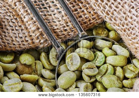 Green coffee beans in a jute bag