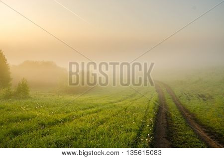 thick morning fog in the summer forest. thick morning fog in the forest at pond. Morning landscape in summer thick fog. dense fog in the morning. early morning. forest hiding in the fog. forest path
