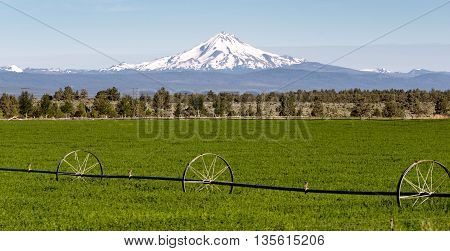 Mount Jefferson Stands Majestic Oregon Cascade Mountain Range