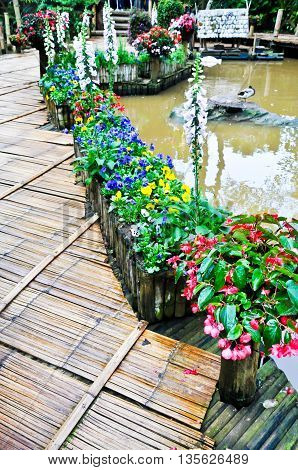 Flowerpot rim river Doi-tung Chiang Rai Thailand