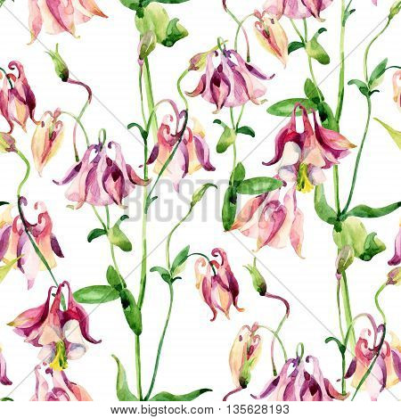 Watercolor meadow bellflowers seamless pattern. Watercolor wild columbine flowers on white background. Hand painted illustration