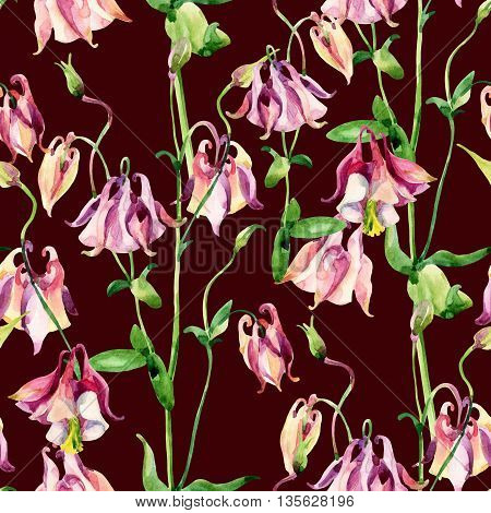 Watercolor meadow bellflowers seamless pattern. Watercolor wild columbine flowers on brown background. Hand painted illustration