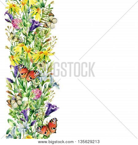 Meadow flowers and butterfly background. Watercolor wild flowers card. Flying butterfly and bell flower clover daisy weeds and meadow herbs. Watercolor wild field. Hand painted floral illustration