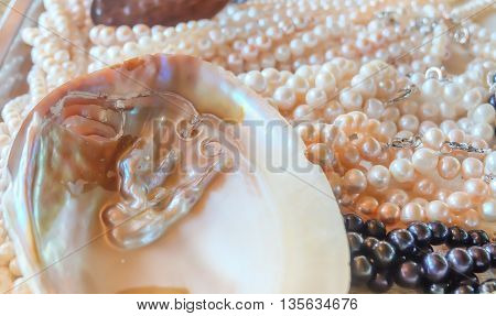 Abalone Jewelry