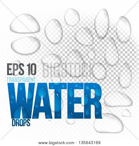 Vector illustration of realistic transparent shiny water drops EPS 10. Isolated objects easy to place on any background