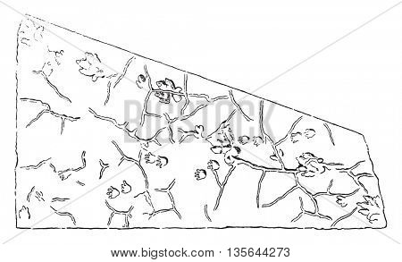 Tracks of fossil animals in relief on a sandstone plaque quarries of Hessberg, Saxony, vintage engraved illustration. Magasin Pittoresque 1836.