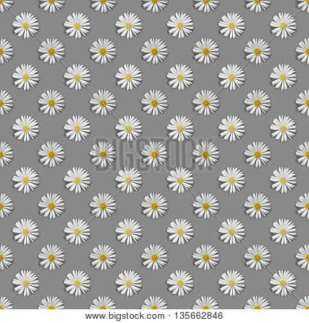 Seamless repeat tiled pattern of white Celmisia Hookeri mountain daisy flowers against a pale grey background