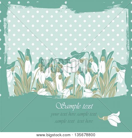 Snowdrop flowers Blossom spring card. Vector spring background.Calligraphic frame. Place for text. Green revive color