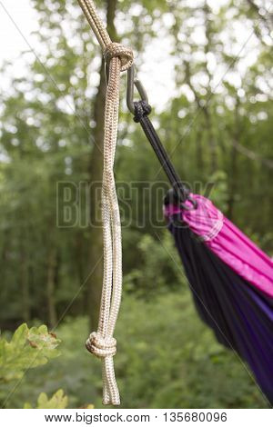 soft hammock on trees in forest summer