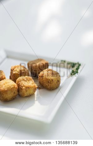 potato fried croquettes croquetas starter side dish on white background