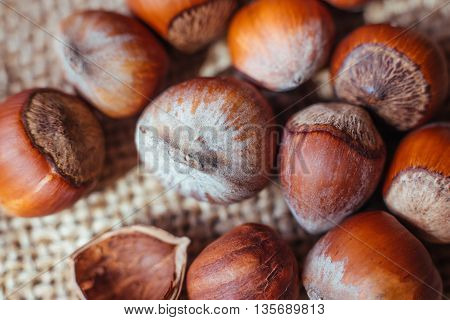 Stack of hazelnuts. Hazelnut background macro. Hazelnuts