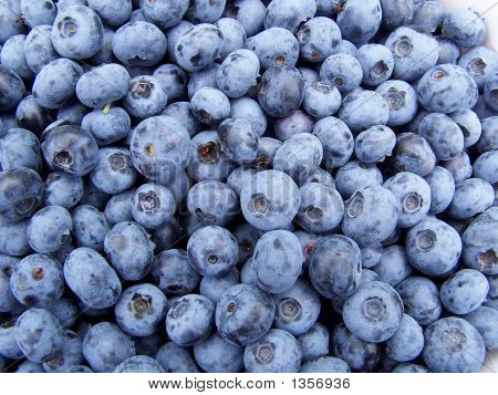 Blueberries200607 028
