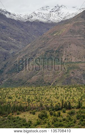 San Alfonso Valley, Trail In The  Mountain