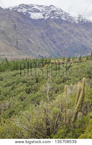 San Alfonso Valley, Trail In The  Mountain