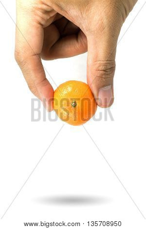 Orange Picking By Hand Isolated On White Background.