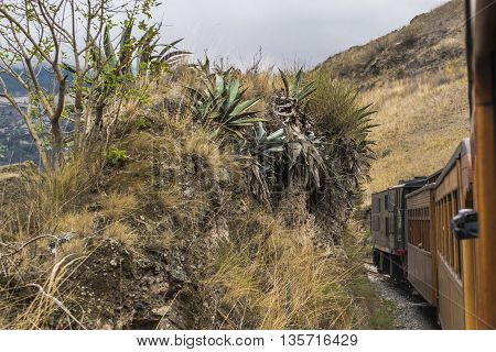 Train trip tour which goes to the famous Nariz del Diablo rocky mountain located in Aluasi town Ecuador