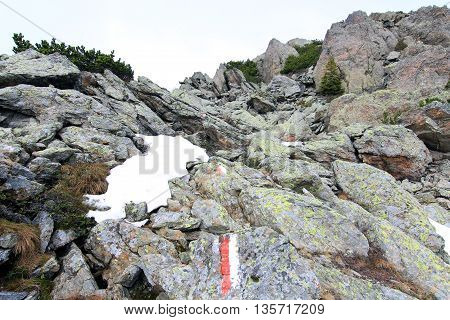 Trail To Summit In The Alps (lesachtal)