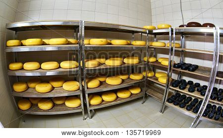 Cheese Factory Warehouse With Shelves Of Product Capretto And Latteria