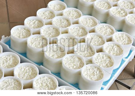 Molds With Semifinished For Production Of Soft Cheese