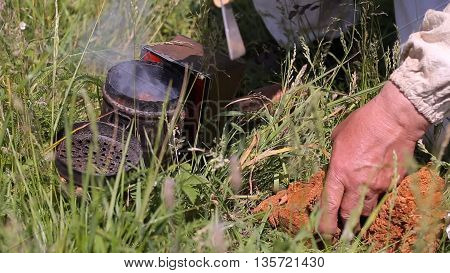 Beekeeper and smoker. Man with a smoker for bees