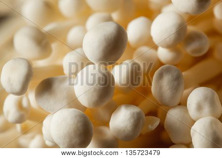 Raw Organic Enoki Mushrooms