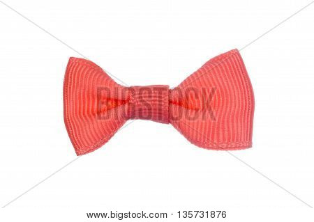 Close Up On Isolated Fancy Bow Tie
